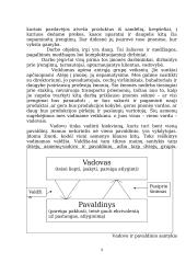 Individuali veikla pagal verslo pažymėjimus 9 puslapis