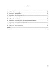 Individualios (personalinės) įmonės 2 puslapis
