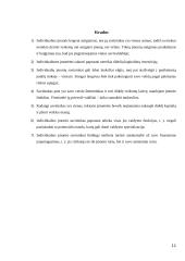 Individualios (personalinės) įmonės 11 puslapis