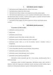 Individualios (personalinės) įmonės 4 puslapis