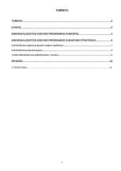 Individualizuotos programos paskirtis ir sudarymo strategija 2 puslapis