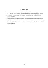 Individualizuotos programos paskirtis ir sudarymo strategija 11 puslapis