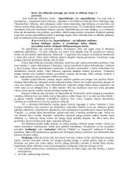Infliacija ir nedarbas 11 puslapis