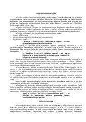 Infliacija ir nedarbas 14 puslapis