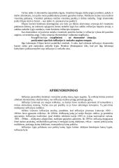 Infliacija ir nedarbas 19 puslapis