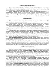 Infliacija ir nedarbas 7 puslapis