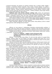 Infliacija ir nedarbas 8 puslapis