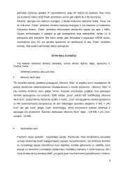 Informacijos kaupimo, saugojimo ir apdorojimo priemonės 5 puslapis