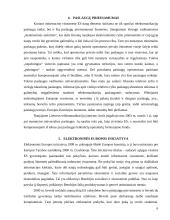 Informacinė visuomenė ES ir Lietuvoje 6 puslapis