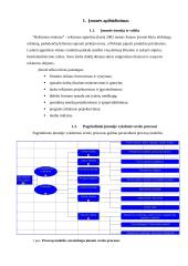 Informacinės sistemos taikymas įmonės verslo procesuose: reklamos agentūra "Reklamos etalonas" 4 puslapis
