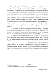 Informaciniai mokymo metodai 10 puslapis