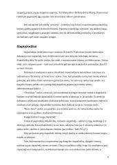 Informacinių sistemų apsauga 7 puslapis