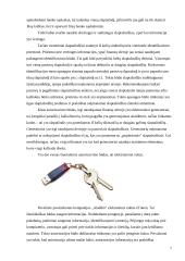 Informacinių sistemų apsauga 8 puslapis
