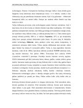 Informacinių technologijų raida 4 puslapis