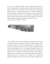 Informacinių technologijų raida ir plėtra 2 puslapis