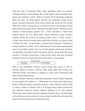 Informacinių technologijų raida ir plėtra 3 puslapis
