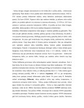 Informacinių technologijų raida ir plėtra 4 puslapis