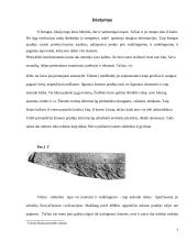 Informacinių technologijų (IT) raida 4 puslapis