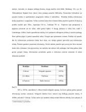 Informacinių technologijų (IT) raida 5 puslapis