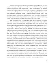 Informacinių technologijų (IT) raida 7 puslapis