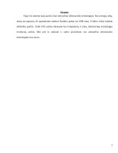 Informacinių technologijų (IT) raida 8 puslapis