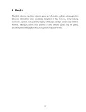 Informatikos apibendrinamasis darbas 13 puslapis