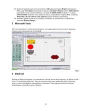 Informatikos apibendrinamasis darbas 10 puslapis
