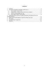 Internet paieškų sistemos: šešėlinės ekonomikos tarptautinė analizė 2 puslapis