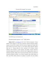 Internet paieškų sistemos: šešėlinės ekonomikos tarptautinė analizė 17 puslapis