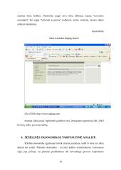 Internet paieškų sistemos: šešėlinės ekonomikos tarptautinė analizė 18 puslapis