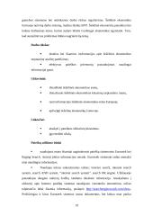 Internet paieškų sistemos: šešėlinės ekonomikos tarptautinė analizė 19 puslapis