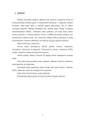 Internet paieškų sistemos: šešėlinės ekonomikos tarptautinė analizė 3 puslapis