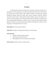 Investicinis gyvybės draudimas ir jo sutarties sąlygos 2 puslapis