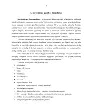 Investicinis gyvybės draudimas ir jo sutarties sąlygos 3 puslapis