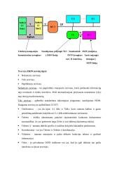 ISDN tinklų panaudojimas skaitmeninei informacijai perduoti 5 puslapis