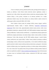 ISO 9000 sistemos 2 puslapis