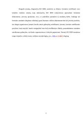 ISO 9000 sistemos 4 puslapis
