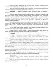 Išoriniai kompiuterio įrenginiai 3 puslapis