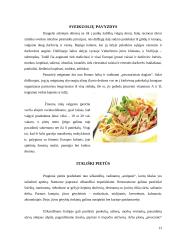 Italija ir italų virtuvė 13 puslapis