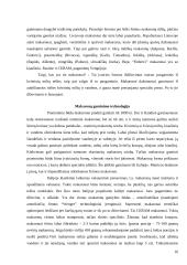 Italija ir italų virtuvė 16 puslapis