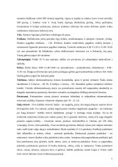 Italija ir italų virtuvė 5 puslapis