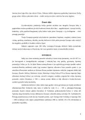Italija ir italų virtuvė 8 puslapis