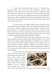 Italija ir italų virtuvė 10 puslapis