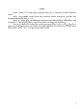Įvardžio mokymas VII - VIII klasėse 2 puslapis