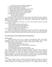 Įvardžio mokymas VII - VIII klasėse 4 puslapis