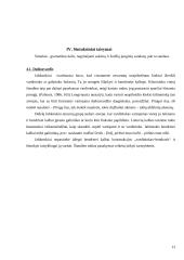 Jonas Jablonskis ir bendrinė lietuvių kalba 13 puslapis