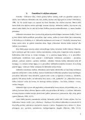 Jonas Jablonskis ir bendrinė lietuvių kalba 6 puslapis