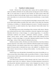 Jonas Jablonskis ir bendrinė lietuvių kalba 6 puslapis