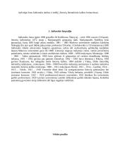 Jono Jablonskio vaidmuo lietuvių literatūrinės kalbos istorijoje 3 puslapis