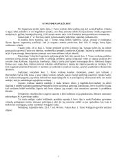 Juozas Tumas-Vaižgantas - biografija ir proza 7 puslapis